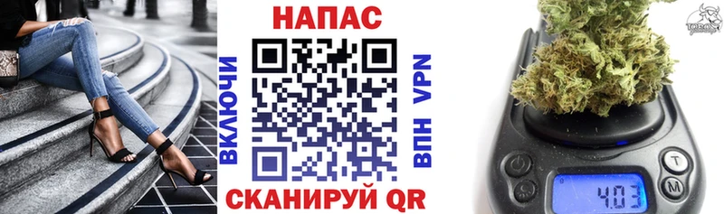 Какие есть наркотики Сясьстрой Бутират Канабис Кокаин Меф Гашиш Псилоцибиновые грибы