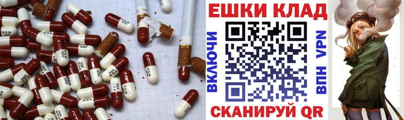 ЭКСТАЗИ XTC Сясьстрой