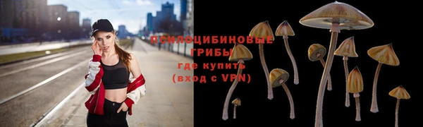 марки nbome Баксан