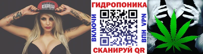МАРИХУАНА планчик Сясьстрой